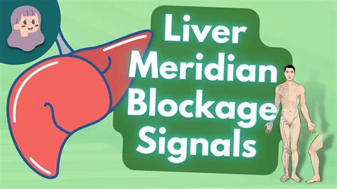 E13 When The Liver Meridian Is Blocked Where In Our Body Might We