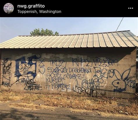 Surenos Norteno Crip Gangs In Washington State Photos From Ig Nwg