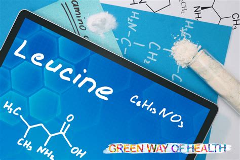 Leucine Archives - Green Way Of Health