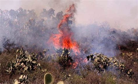 Registran 55 Incendios Forestales Activos En México