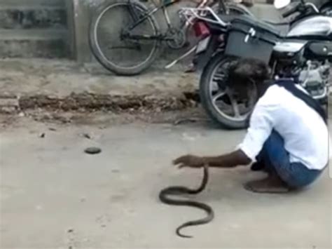 Bitten In The Snake Charmers Left Hand First Father Then Son Died Due