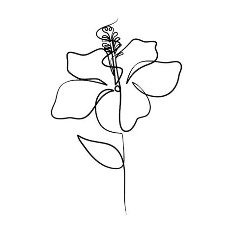 Premium Vector Continuous One Line Art Drawing Of Beauty Hibiscus Flower