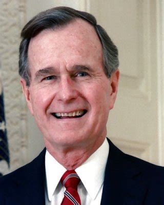 More Bush Porn Pictures XXX Photos Sex Images PICTOA