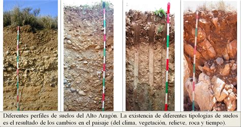 Tipos De Suelos Iuca Instituto Universitario De Ciencias Ambientales