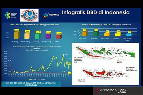 Lima Daerah Duduki Angka Kasus Dbd Tertinggi Pada Juni Antara News