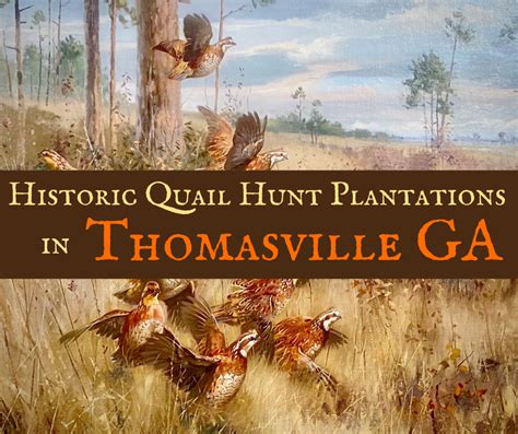 Encounter Historic Quail Hunt Plantations in Thomasville GA