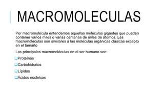 Medicina Humana Macromoleculas PPT