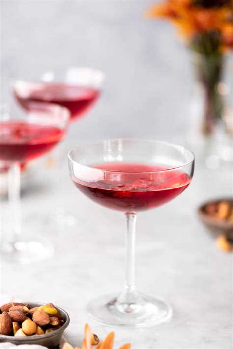 Vodka Cranberry Martini Perfect Holiday Cocktail With Spice