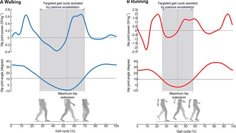 Hip Joint Power During Walking And Running In The Shaded Interval Of