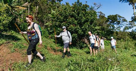 Maui: Rainforest Waterfalls Guided Hike With Picnic Lunch