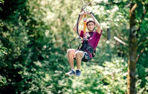 Zipline Canopy Tour | Tree to Tree Adventure Park Oregon