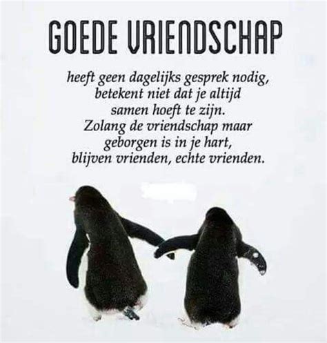 100 Vriendschap Quotes Om Het Hart Van Je Beste Vriend Of Vriendin Te Verwarmen Artofit