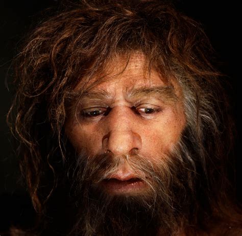 Los neandertales se extinguieron hace 40 000 años pero nunca ha habido