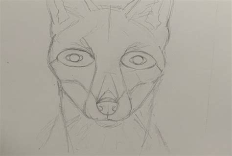 Foxy sketch | Skillshare Student Project