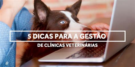 5 Dicas Para A GestÃo De ClÍnicas VeterinÁrias Labovet Produtos