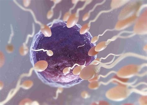 Como Aumentar A Fertilidade Masculina - Como aumentar a fertilidade masculina: Guia Completo