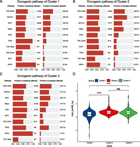 The Analysis Of Oncogenic Pathway And Tumor Mutation Burden Tmb In Download Scientific