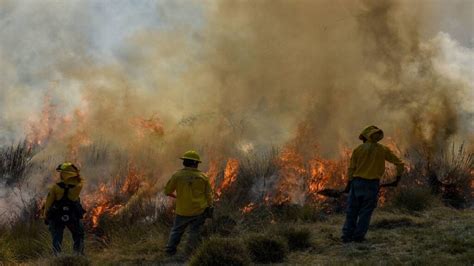 Incendios Forestales En M Xico Rep Rtalos A La Conafor Unotv