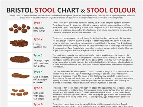 Bristol Stool Chart, Digital Download PDF, Stool Health, Healthy Poop, Pooping Problems, Hard ...