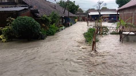 Anak Sungai Di Bojonegoro Meluap Ratusan Rumah Tergenang Banjir