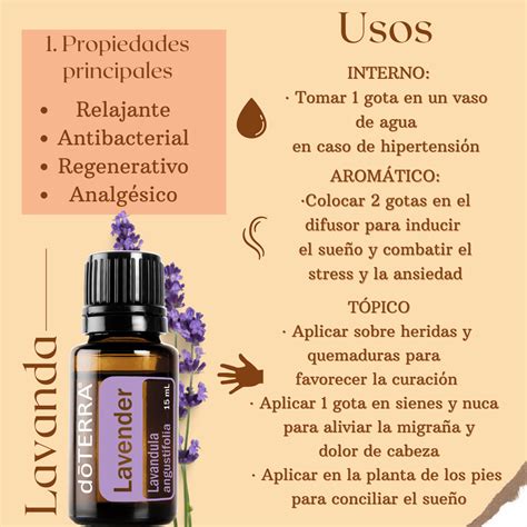 Aceite De Lavanda Y Sus Usos