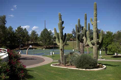 Cactus Park Top Places To See In Arizona