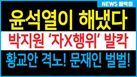 윤석열 속전속결 승부수 던졌다 국정원 대북 핫라인 조사 착수 박지원 벌벌 평산마을 지금 난리났다 Youtube