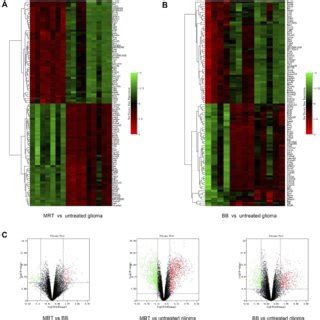 A Heat Map Showing Gene Expression Profiles Of MRT Synchrotron