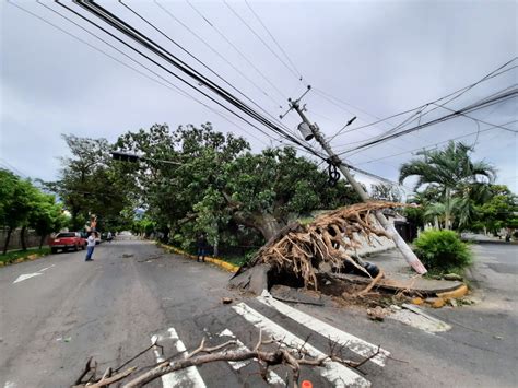 Fuertes vientos dejan árboles y vallas publicitarias caídas en San