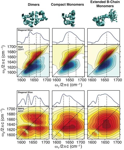 Simulated 2D IR Spectra For Dimers 4INS Compact Monomers 1JCO And