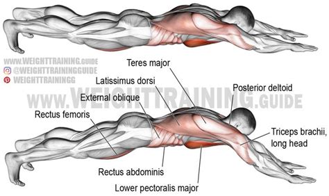 Superman Push Up Exercise Instructions And Video Weight Training