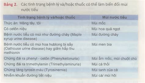 Khi Nào Thì Cần Thực Hiện Tổng Phân Tích Nước Tiểu Bác Sĩ Gia đình Tp Hcm