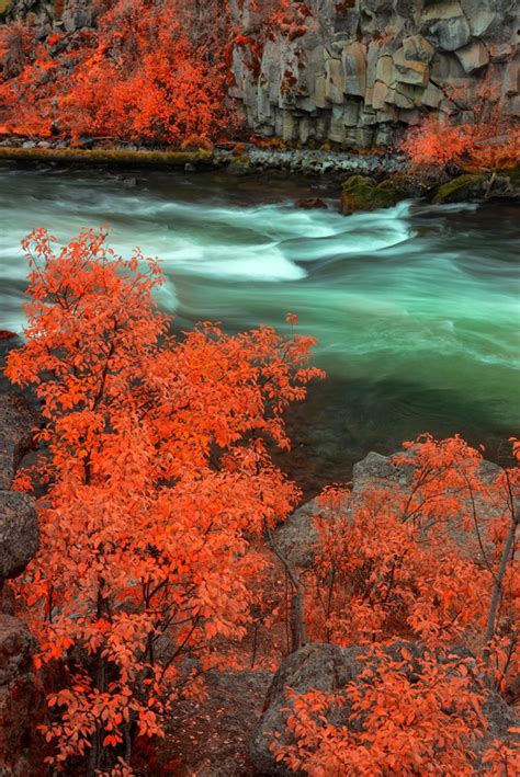 Central Oregon Fall Colors 2024 Cascade Center Of Photography