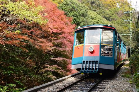 六甲ケーブルの紅葉兵庫県 ｜紅葉名所2024