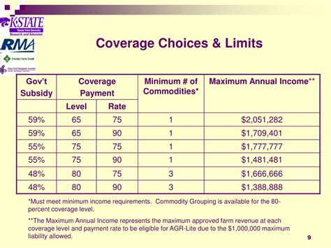 PPT Adjusted Gross Revenue Lite AGR Lite PowerPoint Presentation