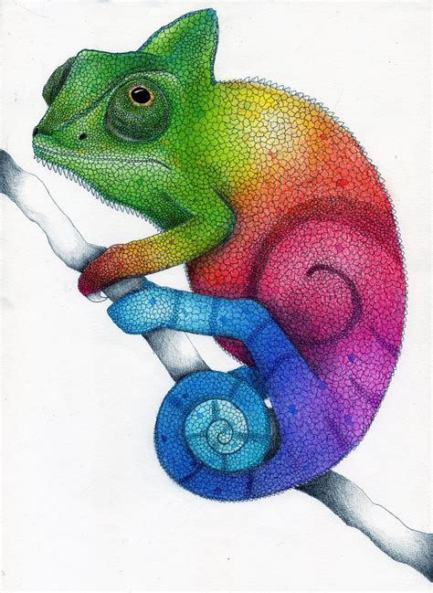 Rainbow Chameleon Color Pencil Drawing by Karen754 on DeviantArt