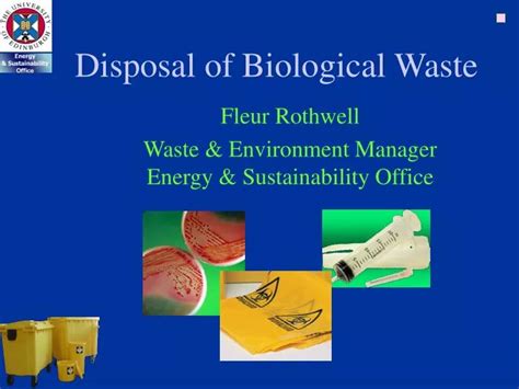 PPT - Disposal of Biological Waste PowerPoint Presentation, free ...