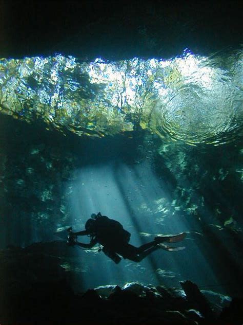 CENOTE Diving Excursion & Tour with Dressel Divers