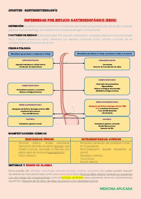 Enfermedad Por Reflujo GastroesofÁgico Resumen Udocz