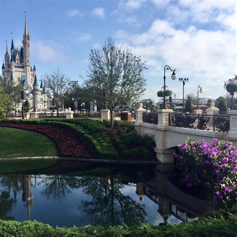 Good Morning From The Magic Kingdom Rwaltdisneyworld