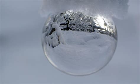 Premium Photo Close Up Of Frozen Glass Against White Background