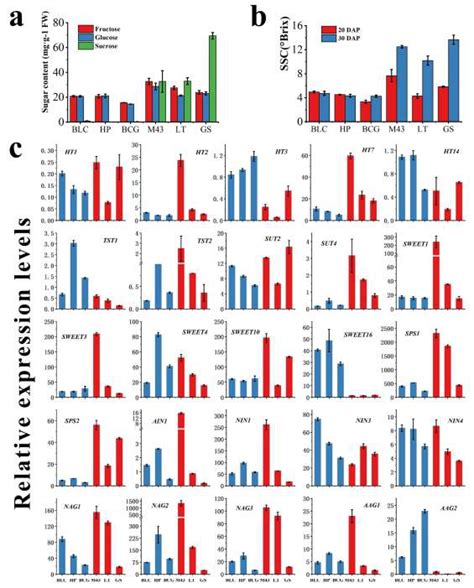 Expression Analysis Of Genes That Relative To Sugar Transport And