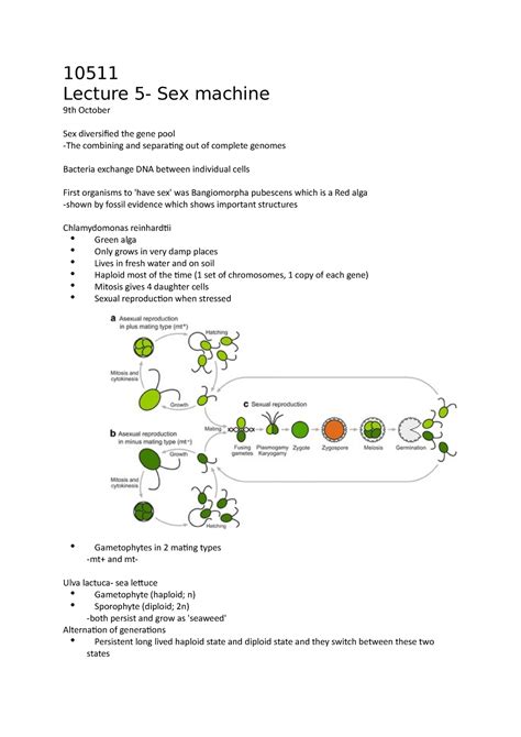 Biol 10511 Lecture 5 Notes 10511 Lecture 5 Sex Machine 9th October