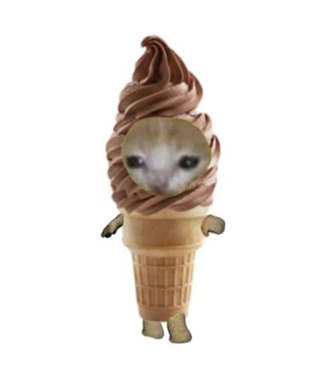 ice cream cat Котята Очаровательные котята Смешные фотографии животных