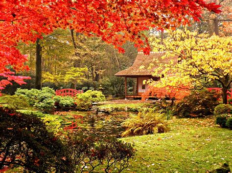 Japanese Garden In Autumn Forest Colorful Fall Autumn Cottage