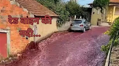 Red Wine River पुर्तगाल में अचानक बहने लगी रेड वाइन की नदी Jago