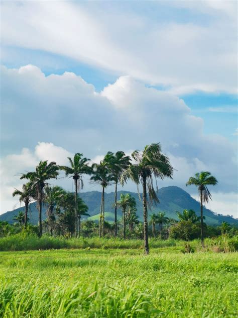 Visa & Entry Requirements | HELLO SIERRA LEONE