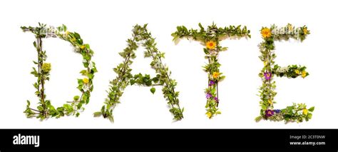 flower  blossom letter building word date stock photo alamy