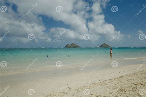 Lanikai Hawaii Usa January 2021 Lanikai Beach Is The Most Beautiful Place In Oahu Editorial