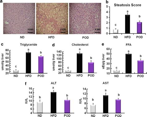 Piperonal Alleviates Hepatic Steatosis In HFD Fed Mice Representative